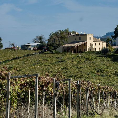 Masseria Del Vino Villa Loreto Aprutino Bagian luar foto