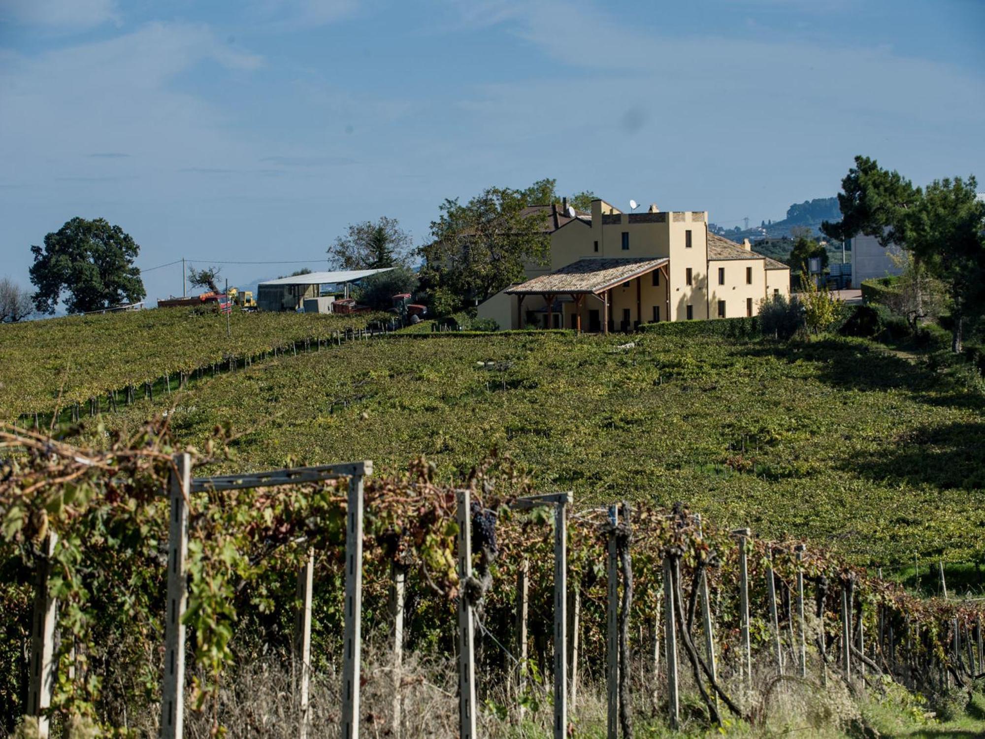 Masseria Del Vino Villa Loreto Aprutino Bagian luar foto