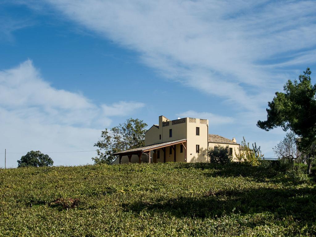 Masseria Del Vino Villa Loreto Aprutino Bagian luar foto