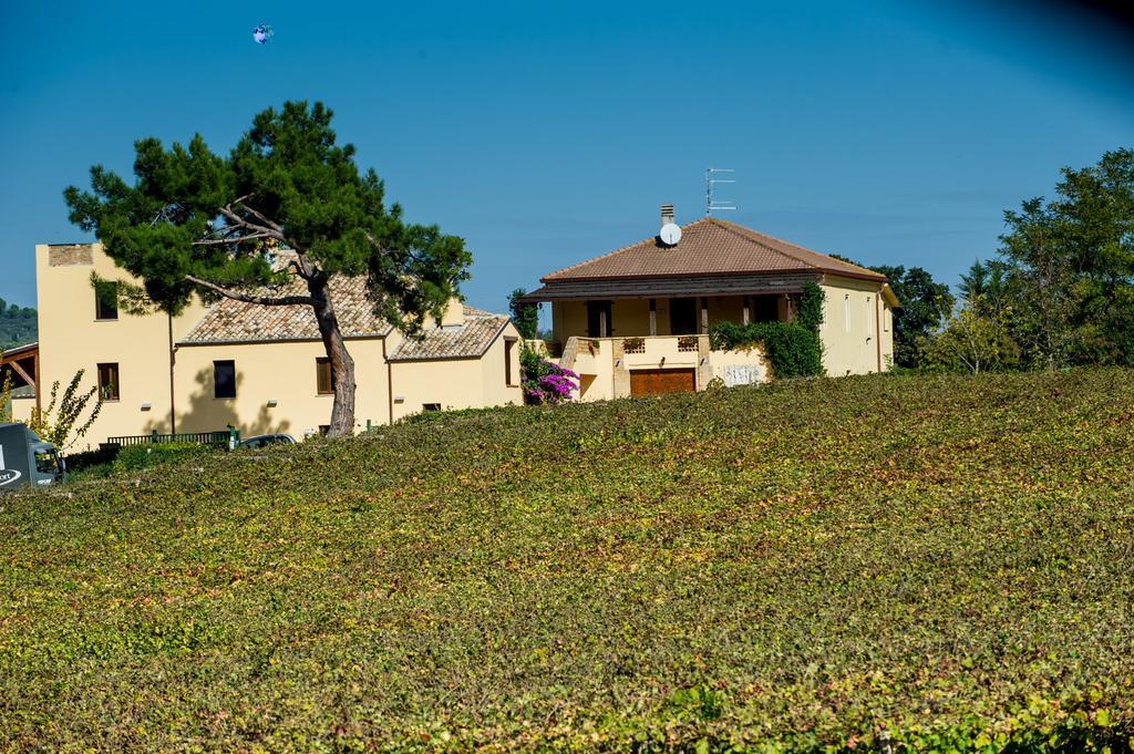 Masseria Del Vino Villa Loreto Aprutino Bagian luar foto