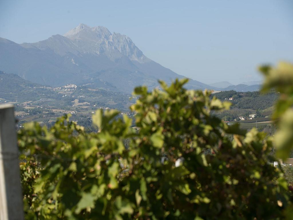 Masseria Del Vino Villa Loreto Aprutino Bagian luar foto