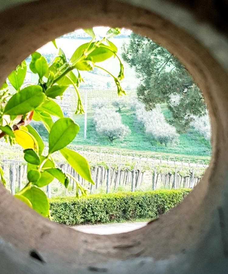 Masseria Del Vino Villa Loreto Aprutino Bagian luar foto