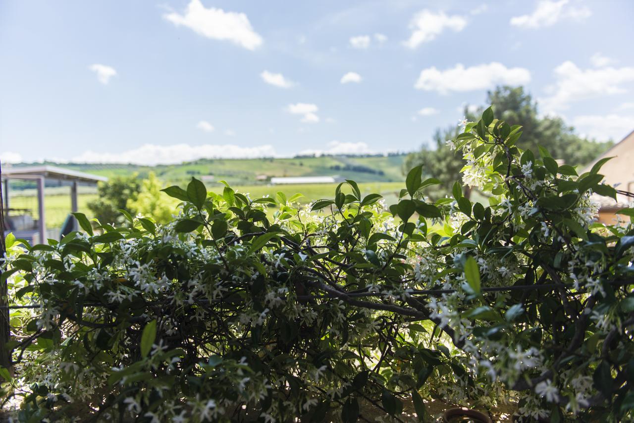 Masseria Del Vino Villa Loreto Aprutino Bagian luar foto