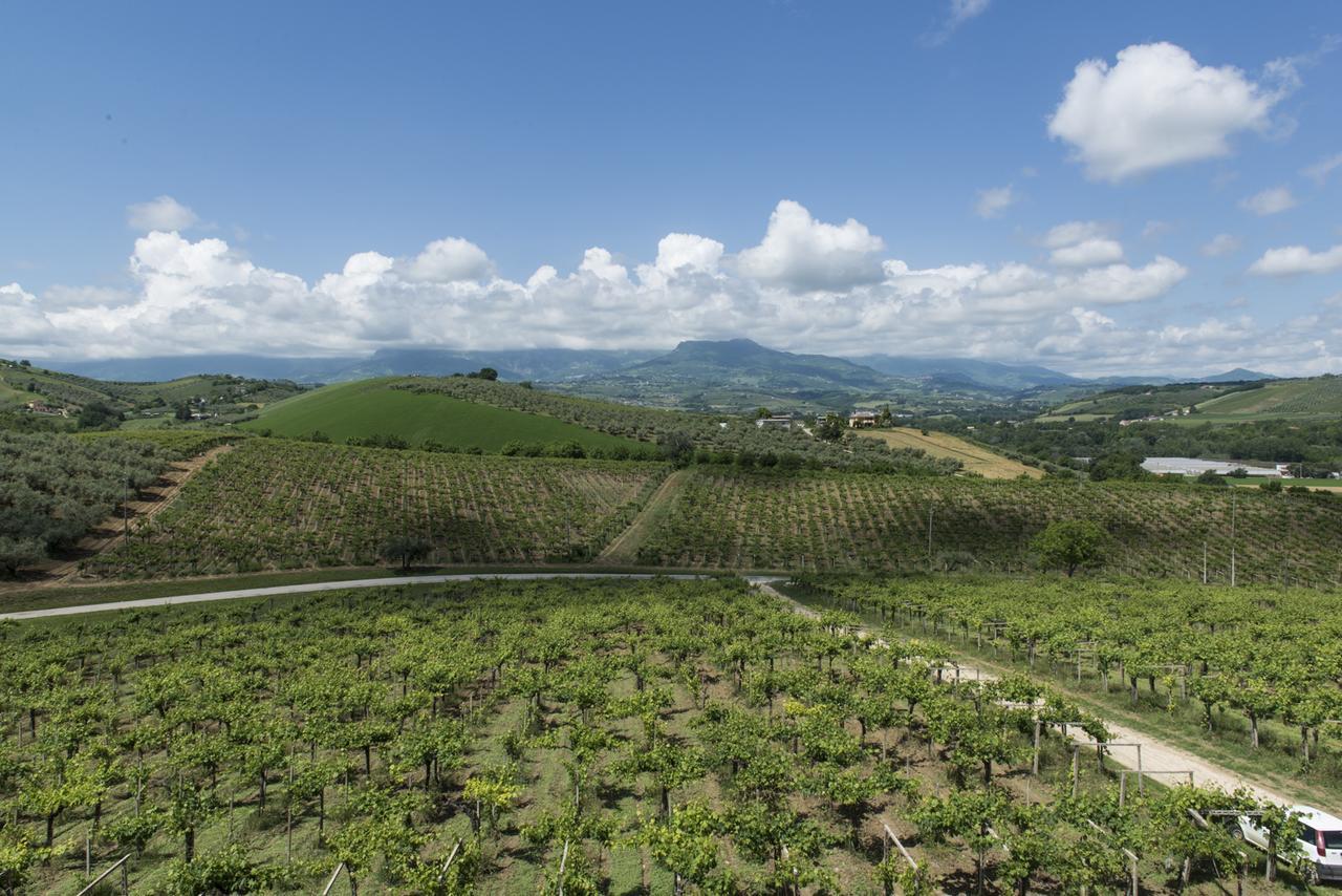 Masseria Del Vino Villa Loreto Aprutino Bagian luar foto